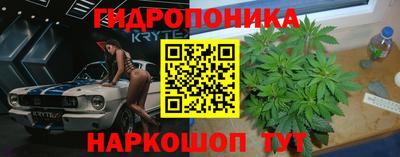 прущие грибы Ставрополь