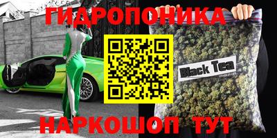 прущие грибы Ставрополь