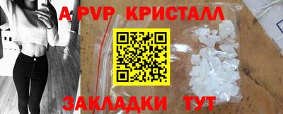 прущие грибы Ставрополь