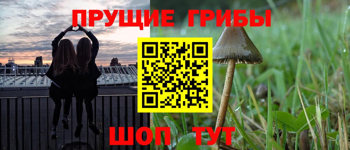 купить   Псилоцибиновые грибы ЛСД  Вход с VPN  Семилуки 