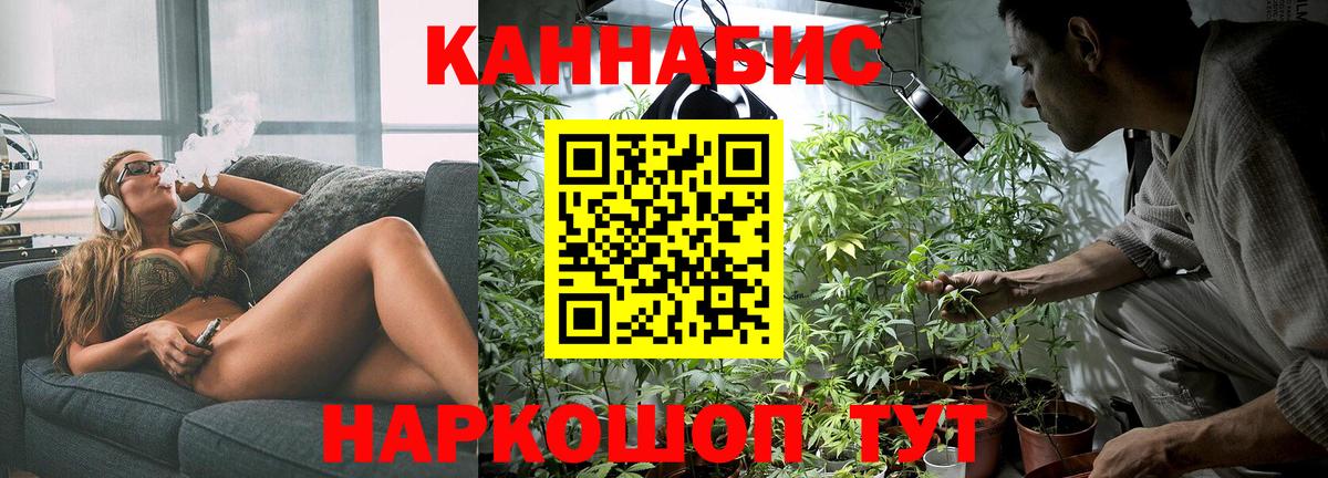 Каннабис сатива Семилуки